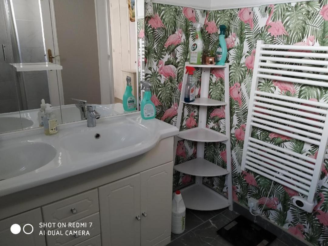 Chambres Tout Confort,Gare Tgv ,Wifi,Clim, Parking,Pt Dejeuner Perpignan Eksteriør billede